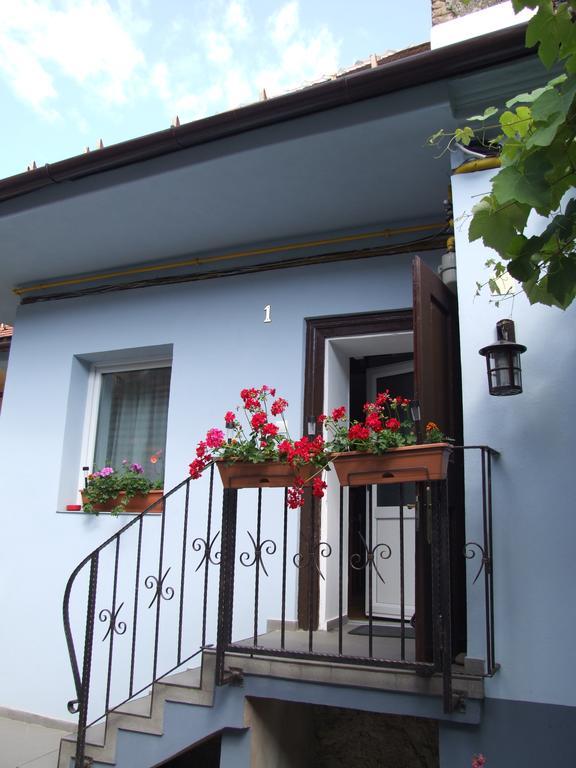 Blue House Ξενοδοχείο Μπρασόβ Εξωτερικό φωτογραφία